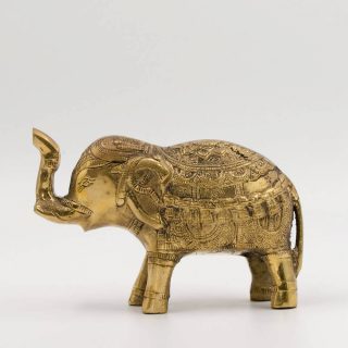 elephant medium